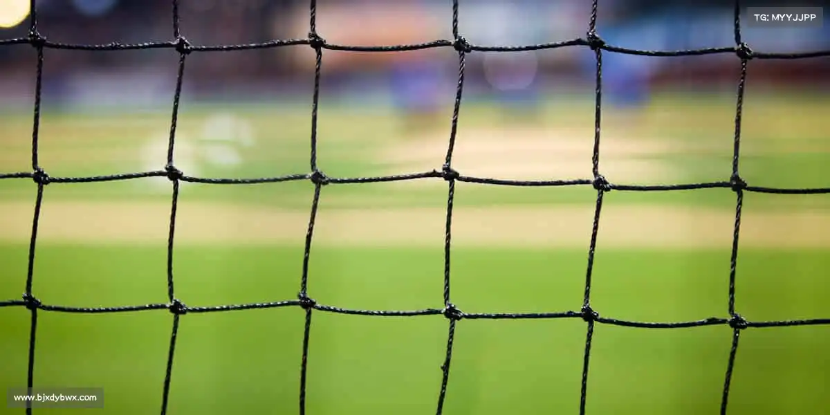 sg胜游亚洲体育——运动不止，健康常伴左右！🏀